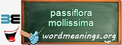 WordMeaning blackboard for passiflora mollissima